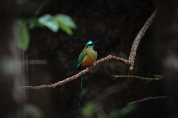 Comment perdre du poids tout en consommant des glucides